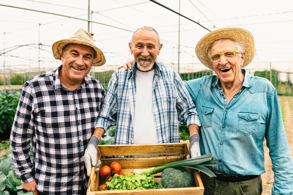 Quelle peut être l'utilité de l'adoption des coopératives agricoles ?